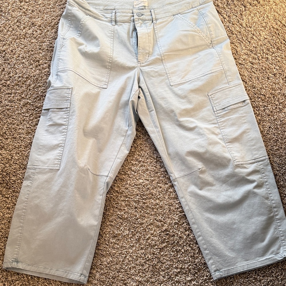 Universal Thread Men's Cargo Pants in Light Gray
